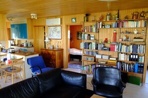 Smart TV, lareira, DVD player, livros