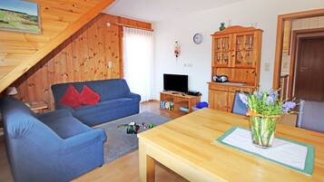 Televisio, DVD-soitin, pöytätennispöytä