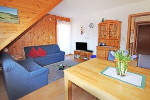 Fernseher, DVD-Player, Tischtennisplatte