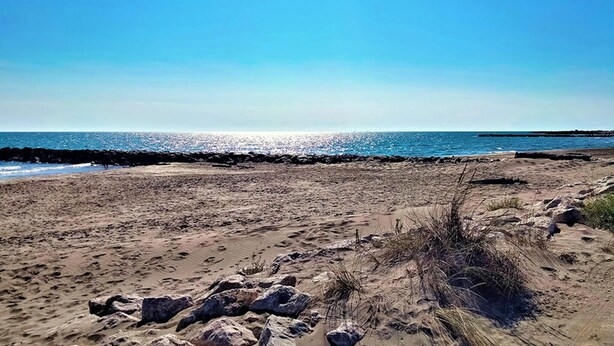 Een zanderig strand met verspreide rotsen en schaarse begroeiing.