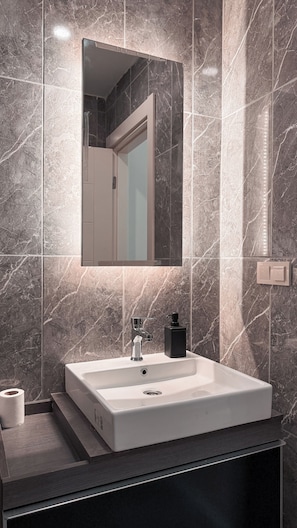 Shower, hair dryer, bidet, towels