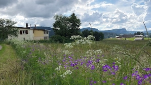 Een landelijk landschap met een huis, een veld vol bloemen en een berg op de achtergrond.
