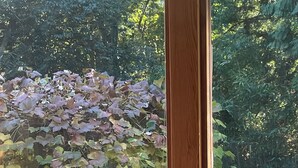 A window with a view of a garden, including a wooden trellis and various plants. - 
Nested in beautiful south facing garden studio available for rent (West Vancouver)