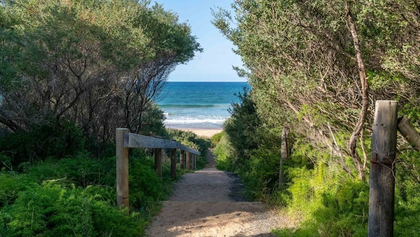 A dirt path leading to a beach, surrounded by dense greenery and wooden posts.