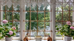 A room with a large window, a lace curtain, and potted plants.