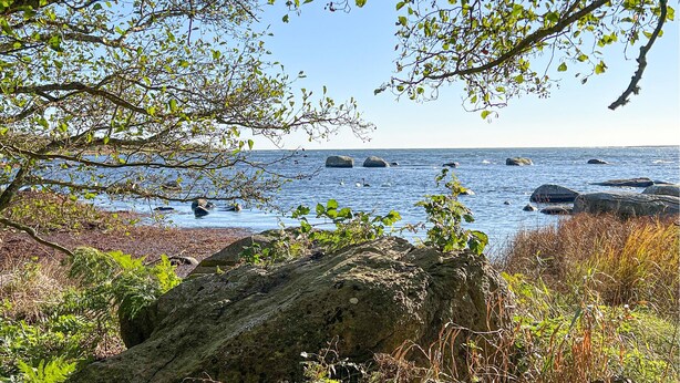 A coastal landscape with a large rock in the foreground, a clear sky, and calm sea with rocks in the distance. - Awesome home in Sturkö with sauna (Sturkö)