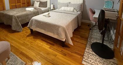 Cozy 1-bedroom lower level apartment with WiFi, AC in charming The Bronx