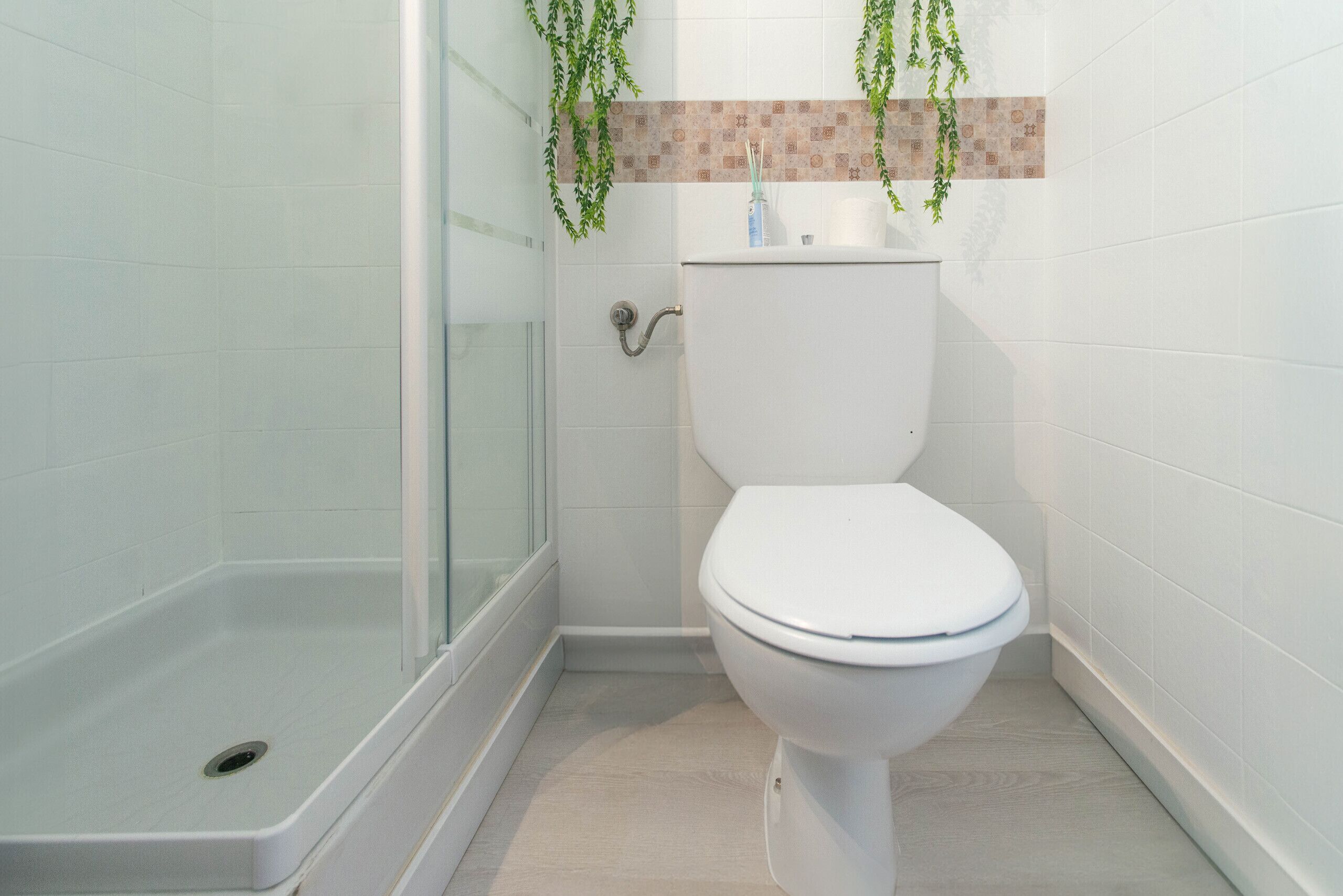 A bathroom with a toilet, shower, and a small plant.