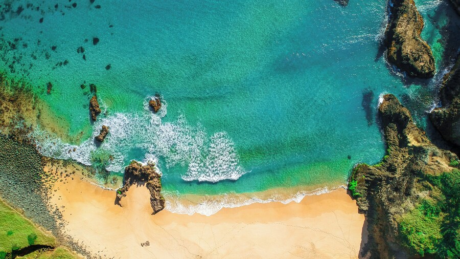 Fletcher Christian Apartments - Manava Suites