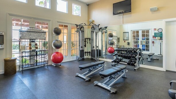 Un gimnasio con máquinas de pesas, pesas sueltas y pelotas de ejercicio.