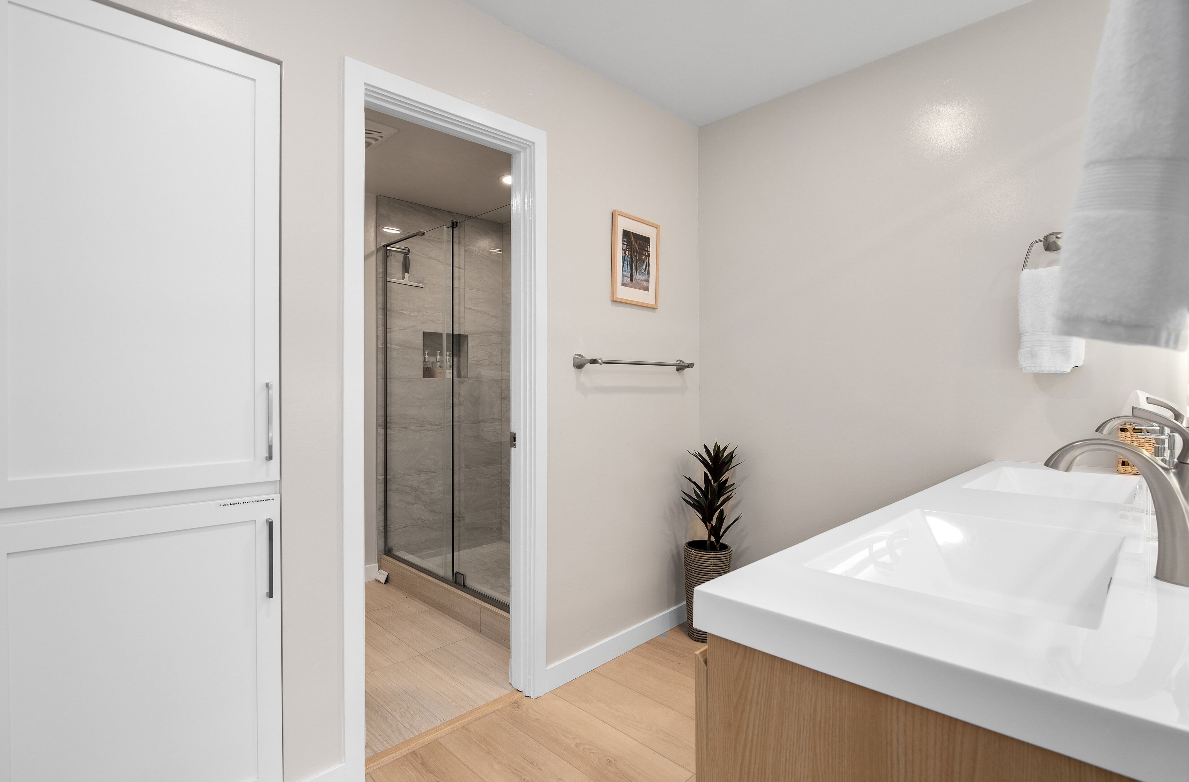 A modern bathroom with a white sink, a glass shower enclosure, and a potted plant.