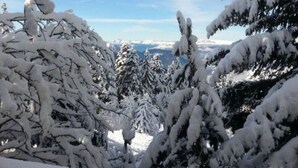 A snowy landscape with dense evergreen trees. - Unusual chalet, 2 ppl, terrace with mountain view. (Chamrousse)