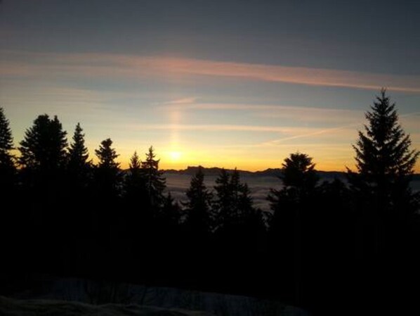 A sunset over a forested landscape with silhouetted trees.