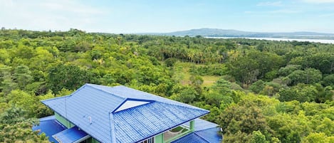 Une maison avec un toit bleu, entourée d’une végétation luxuriante, et un lac en arrière-plan.