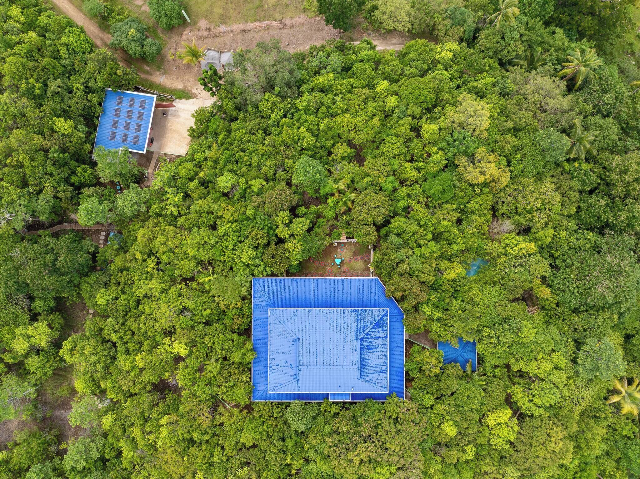 Vue aérienne d’une propriété comprenant deux bâtiments aux toits bleus, entourés d’une forêt verdoyante et dense.