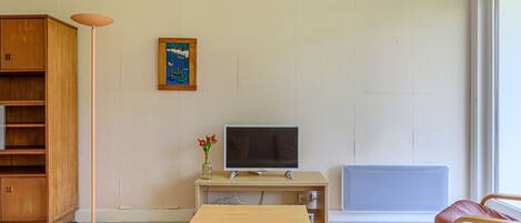 A living room with a wooden cabinet, a TV on a stand, a small table with a vase of flowers, a radiator, and a window.