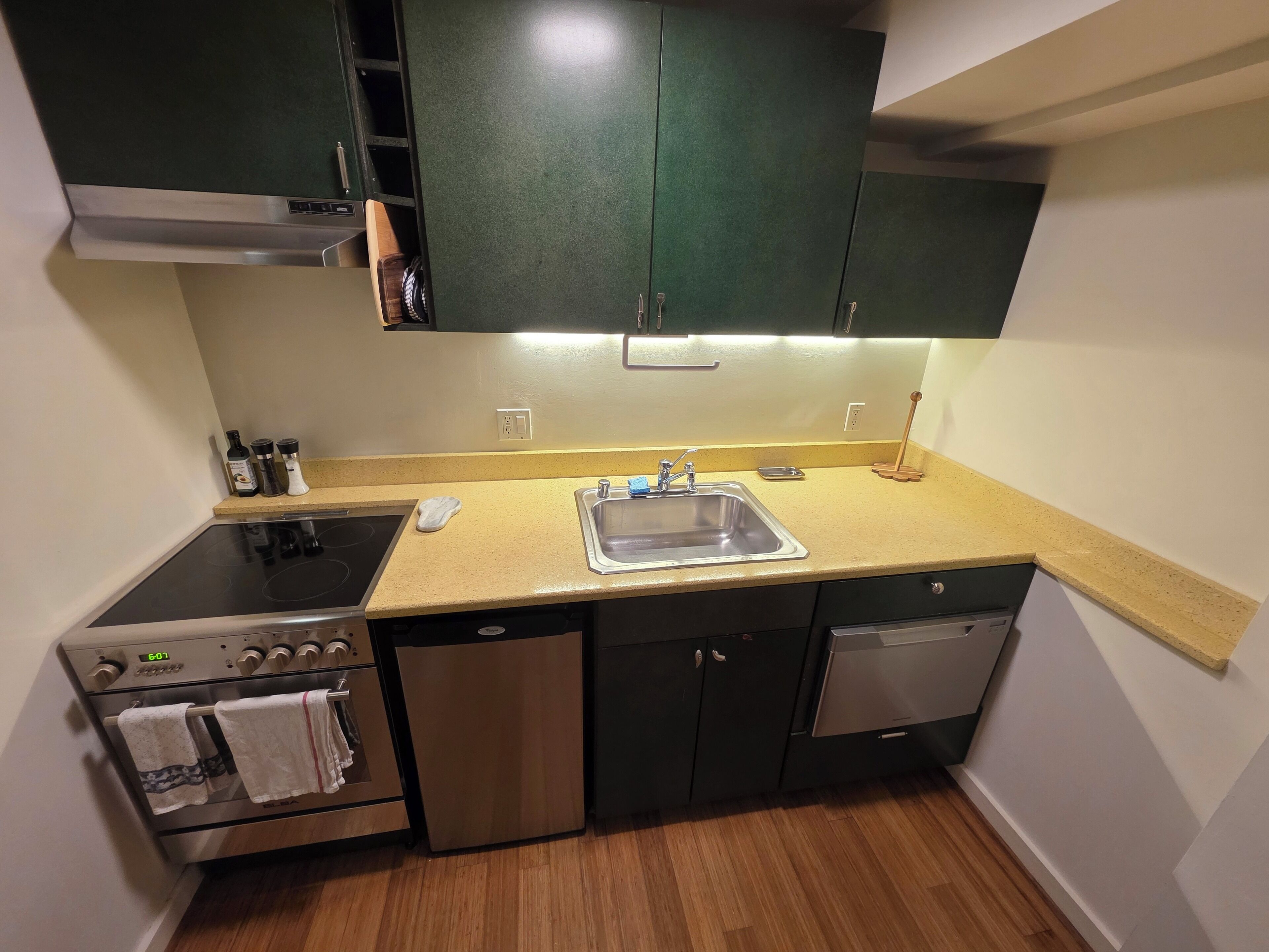 Oven, stovetop, dishwasher