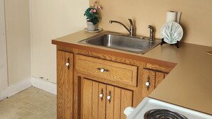 A kitchen with wooden cabinets, a stainless steel sink, a stove, and a potted plant. - Upper floor of charming 2 story house in central Hawley with WiFi (Hawley)