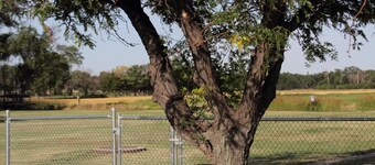 Charming 2-bedroom cottage for the perfect escape to rural living, pets welcome