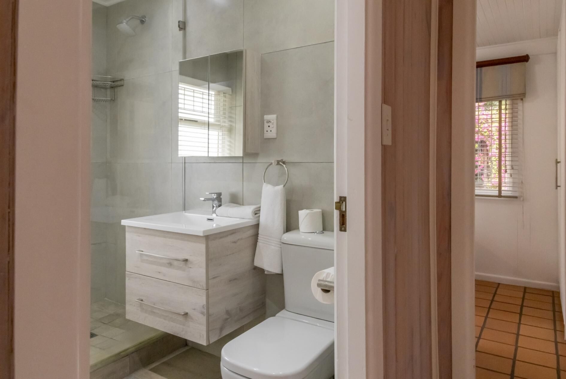 Shower, hair dryer