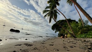 Una playa con huellas, palmeras y barcos en el agua.