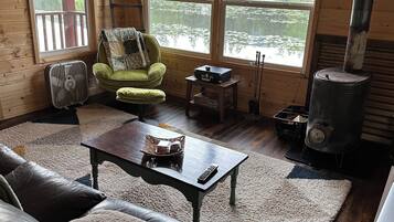 电视、壁炉、DVD 播放器、书