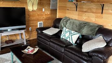 Télévision, cheminée, lecteur de DVD, livres