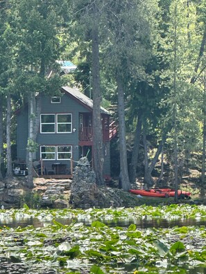 A cabin surrounded by trees and a pond with lily pads.
