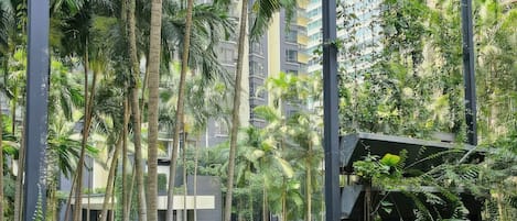 A view of a lush indoor garden with a pool, surrounded by tall palm trees and dense foliage.