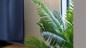 A modern living room with a flat-screen TV on a wooden cabinet, a black floor lamp with a light bulb, and a large green plant. - Luxe Central City 2 bedrooms with Carpark (Christchurch)