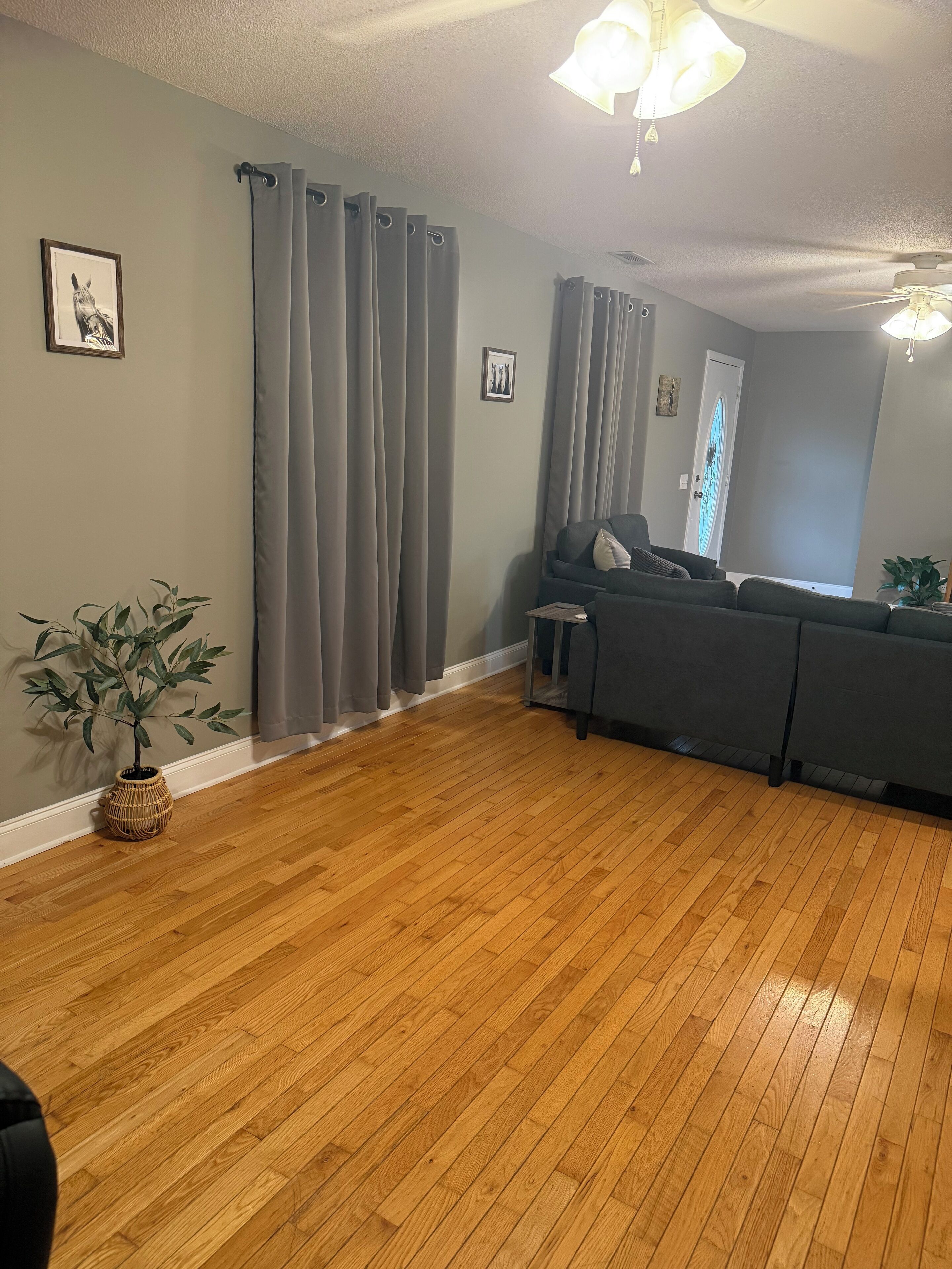 A living room with a grey sofa, a small table, a potted plant, and a wooden floor.
