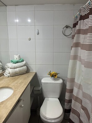 Hårtørrer, håndklæder, Sæbe, Toiletpapir