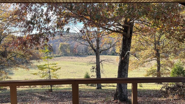 Un espacio al aire libre techado con una mesa de vidrio y sillas de metal, con vistas a un paisaje otoñal con árboles y un campo.