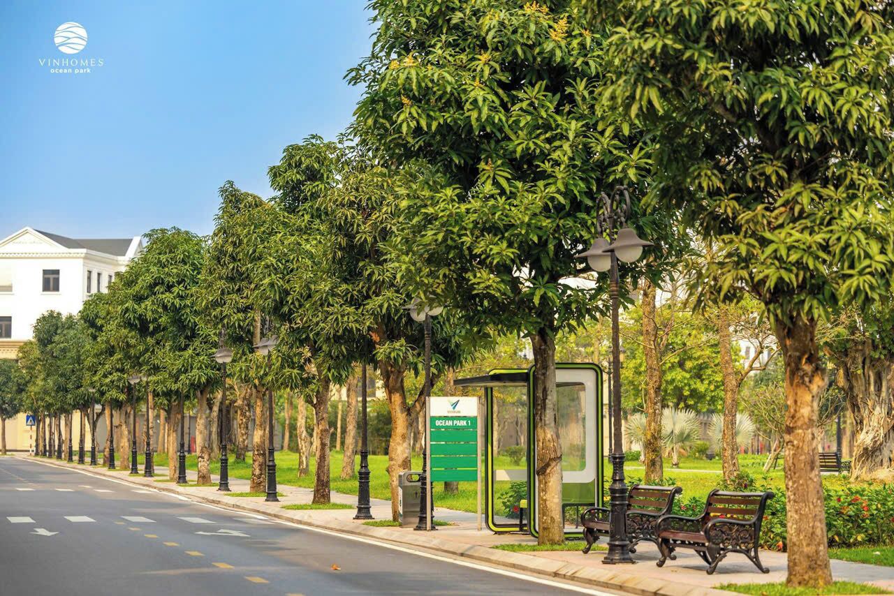 A street lined with trees and benches, a bus stop, and a sign for Ocean Park 1.