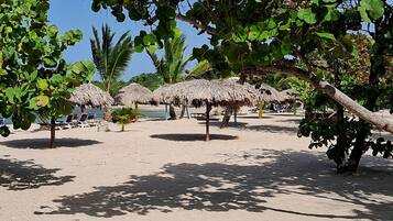 A beach with thatched umbrellas, lounge chairs, and palm trees.
