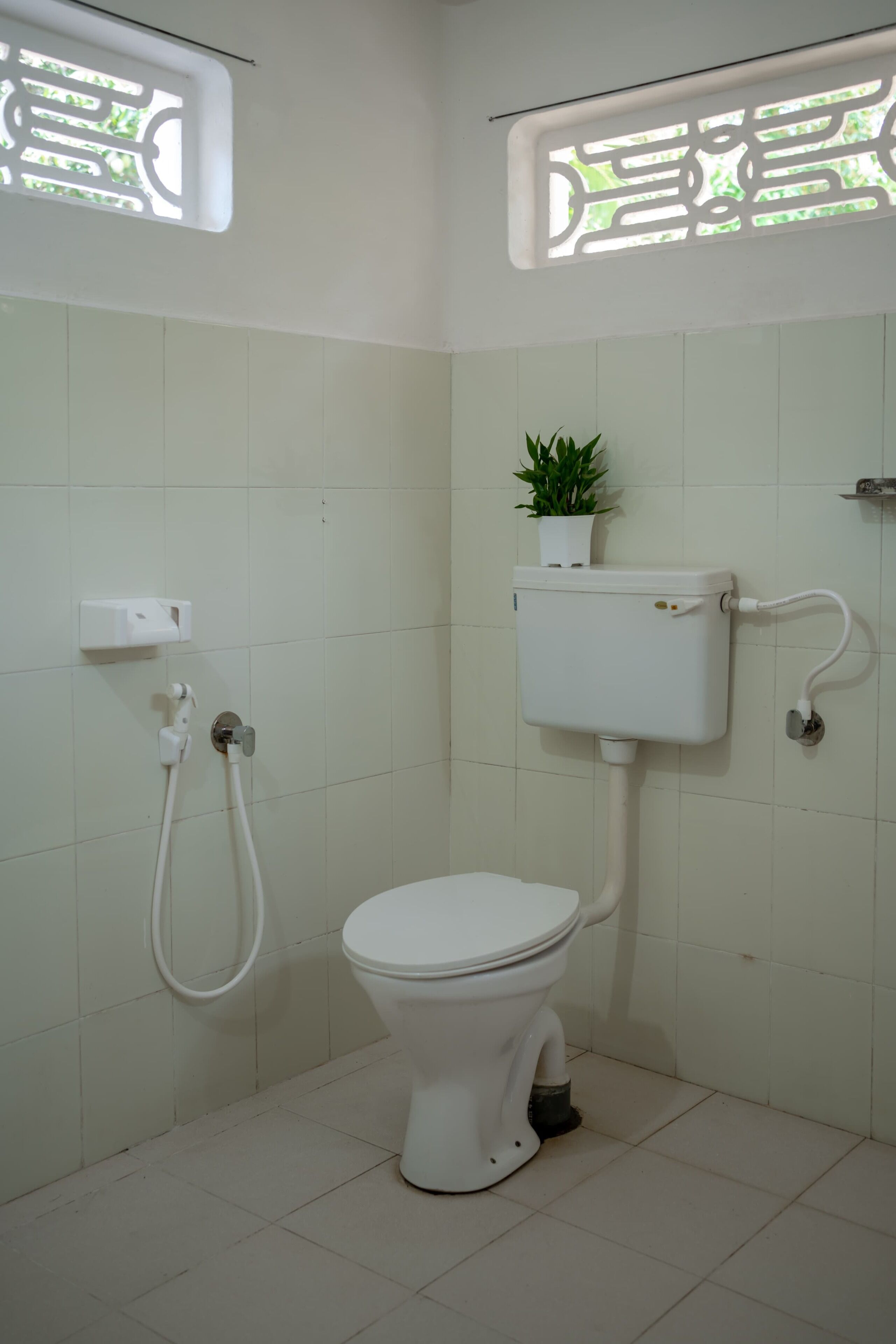 Een compacte, schone badkamer met toilet, douche en een plant in een pot op de muur.