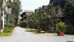 Une rue bordée de bâtiments traditionnels, dont certains sont dotés de balcons, et ponctuée de palmiers le long du trottoir.