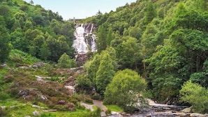 A waterfall surrounded by lush greenery and a rocky riverbed. - The Hedgehog Pod - UK50067 (Welshpool)