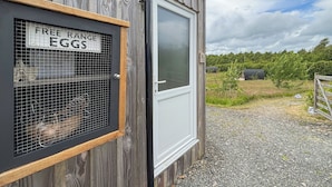 A rustic wooden building with a window labeled "FREE RANGE EGGS" and a door. - The Hedgehog Pod - UK50067 (Welshpool)