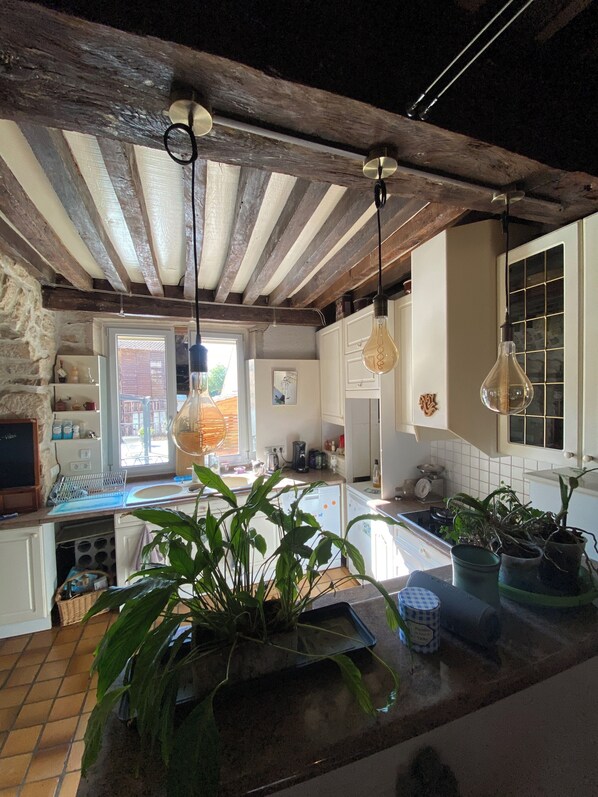 Microwave, oven, stovetop, dishwasher - Historic house on rue Pasteur with terrace overlooking Dole's Little Venice (Dole)