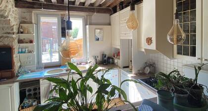 Historic house on rue Pasteur with terrace overlooking Dole's Little Venice