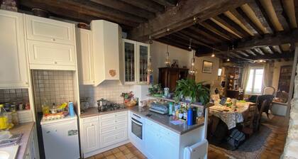 Historic house on rue Pasteur with terrace overlooking Dole's Little Venice
