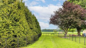 A fenced pathway leading to a building with a large tree on the right.