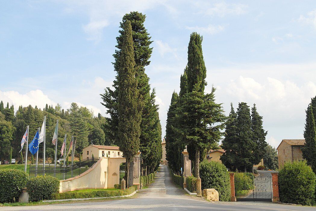 A pathway flanked by tall cypress trees leading to a building with a beige facade.