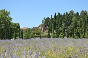 Miscellaneous - Casa Ramisia M: A characteristic and welcoming two-story apartment that is part of an ancient country house surrounded by a wonderful park, with Free WI-FI. (Gambassi Terme)