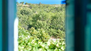 Unclassified image, 4 of 30, button - LeMareVita by Interhome (Rabac/Skitača)
