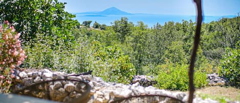 Terrain de lâhĂ©bergement
