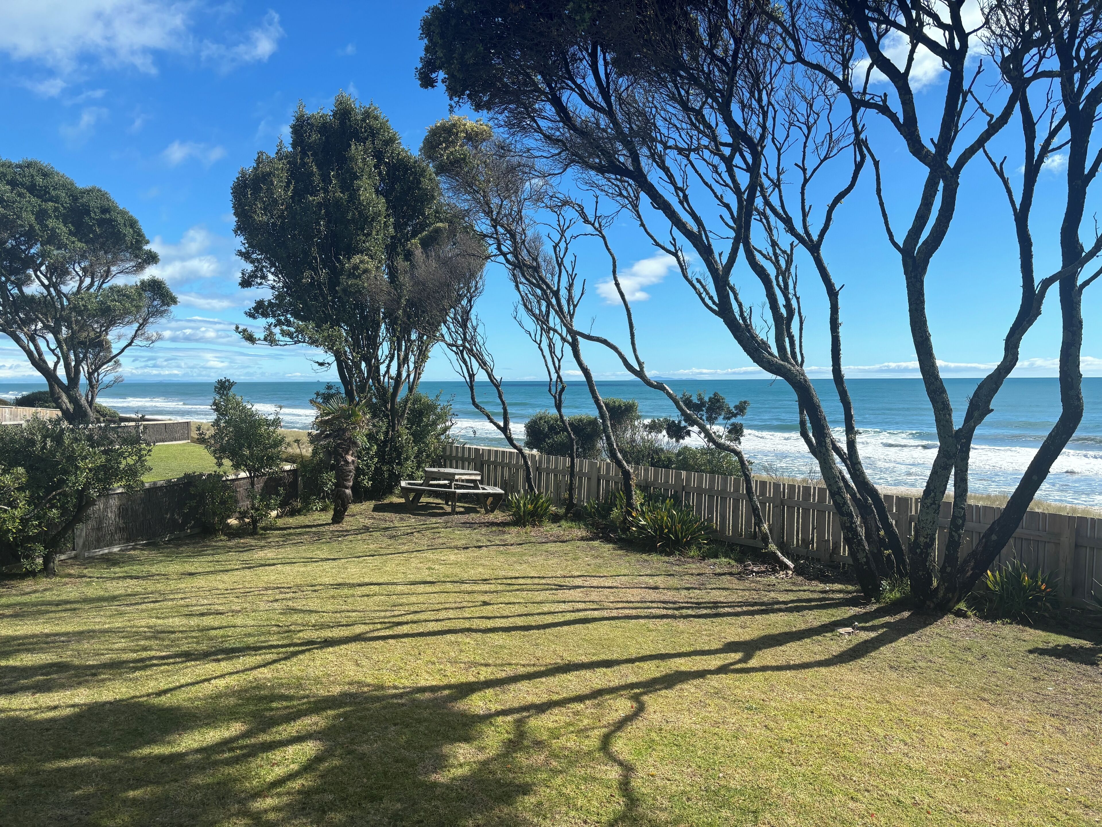 Our front yard for picnics and games