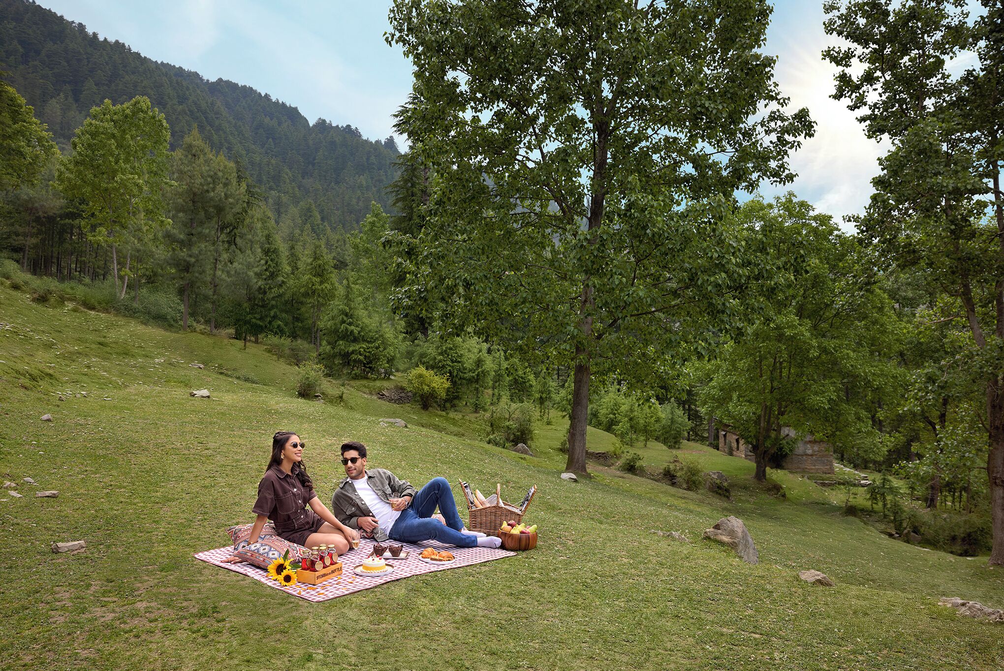 Una pareja descansando sobre una manta de picnic en un área con césped, árboles y una colina al fondo.