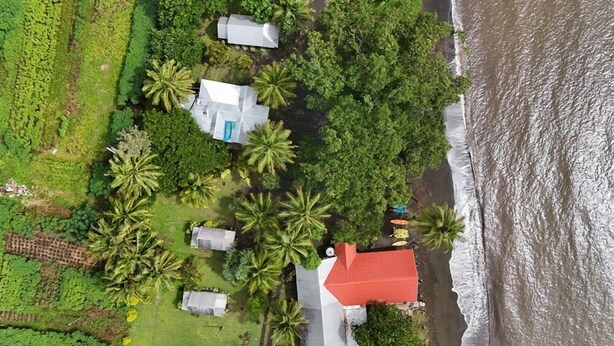 An aerial view of a coastal property with several buildings, including a prominent red-roofed structure, surrounded by lush greenery and palm trees. - Natalei Eco Lodge  (Dawasamu)